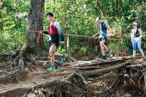 BIB: 
                            <button type="button" onclick="openModal(27558454)" class="btn btn-primary btn-sm float-right btn-popup" data-toggle="modal" data-target=".modal-high-quality">
                        <i class="fas fa-shopping-cart"></i> Add to Cart
                    </button>
                                            <button type="button" onclick="isThisMe(27558454, true)" class="btn btn-success btn-sm float-right btn-popup btn-isme hidden" data-toggle="tooltip" data-placement="bottom" title="นี่คือรูปของคุณใช่ไหม คลิกที่นี่เพื่อเอาเข้าอัลบั้ม">
                        <i class="fas fa-plus"></i> Add to album
                    </button>
                    <button type="button" onclick="isThisMe(27558454, false)" class="btn btn-warning btn-sm float-right btn-popup btn-isnotme hidden">
                        <i class="fas fa-ban"></i> Remove from album
                    </button>